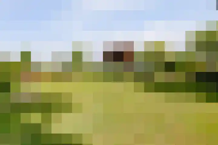 Meermuidenseweg 7 Twello thumbnail 34