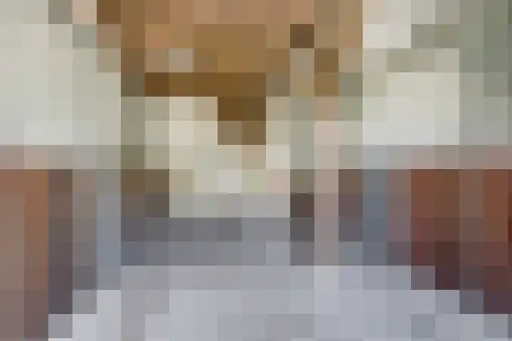 Meermuidenseweg 7 Twello thumbnail 35