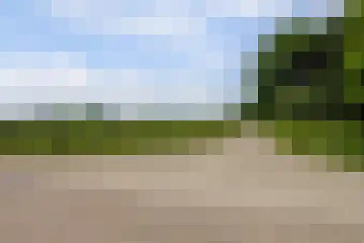 Meermuidenseweg 7 Twello thumbnail 42