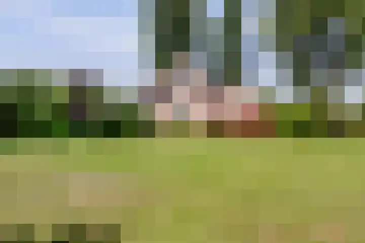 Meermuidenseweg 7 Twello thumbnail 46