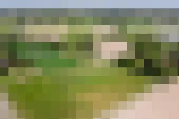 Meermuidenseweg 7 Twello thumbnail 47