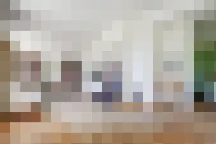 Meermuidenseweg 7 Twello thumbnail 7