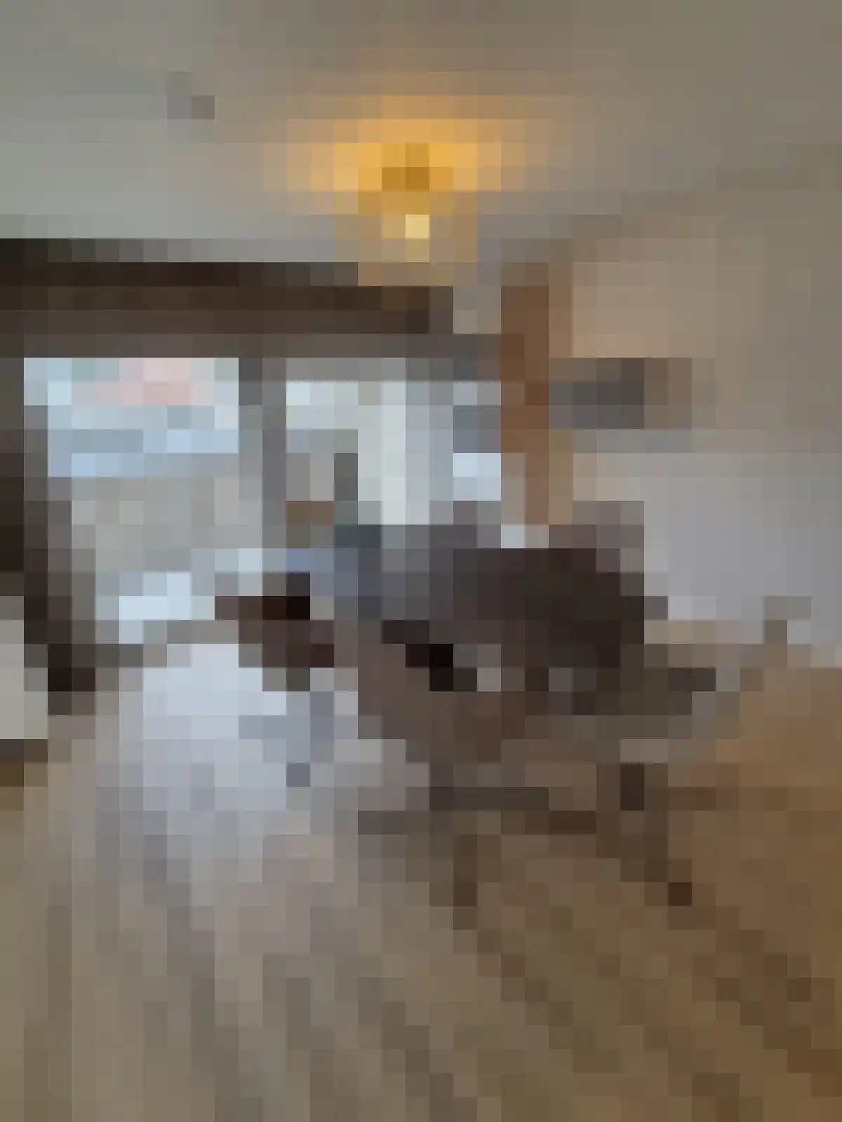 Meerndijk 17 De Meern thumbnail 4