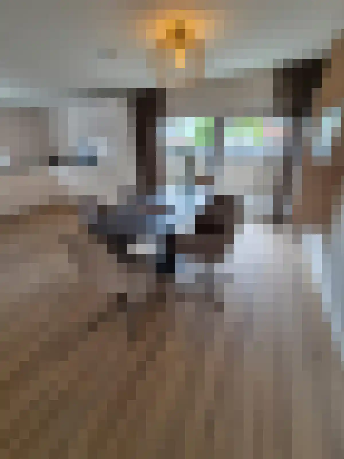 Meerndijk 17 De Meern thumbnail 5