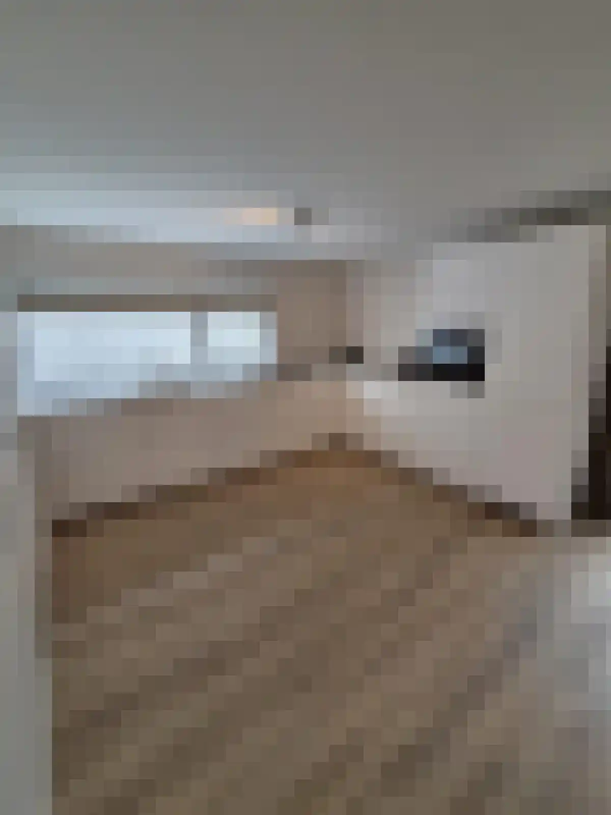 Meerndijk 17 De Meern thumbnail 6