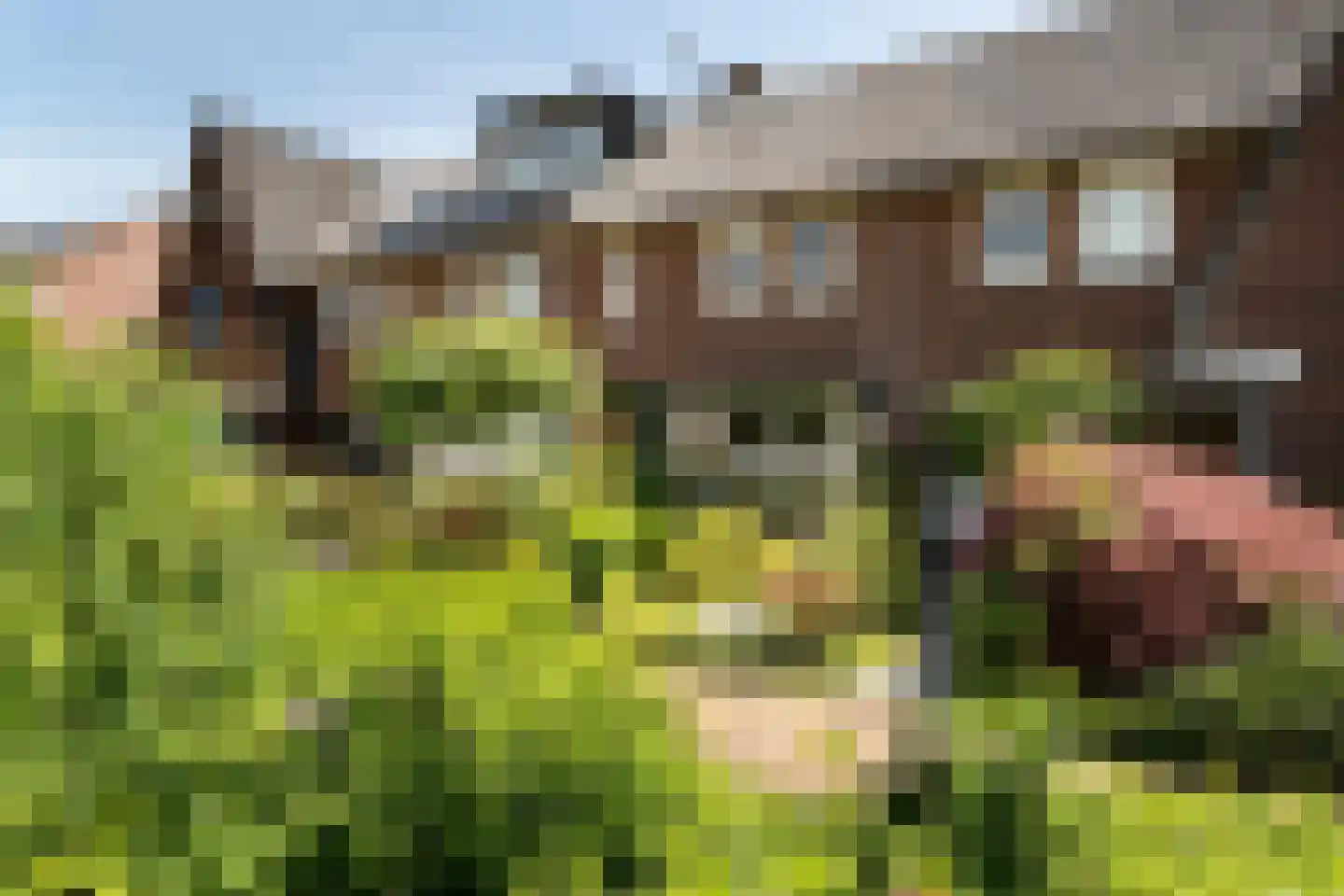 Meerndijk 38 De Meern