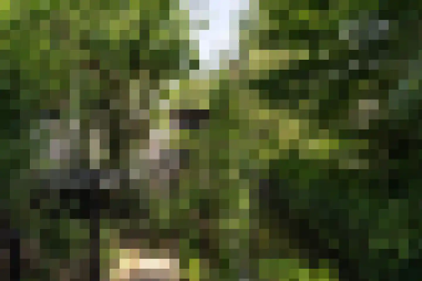 Meerndijk 38 De Meern thumbnail 16