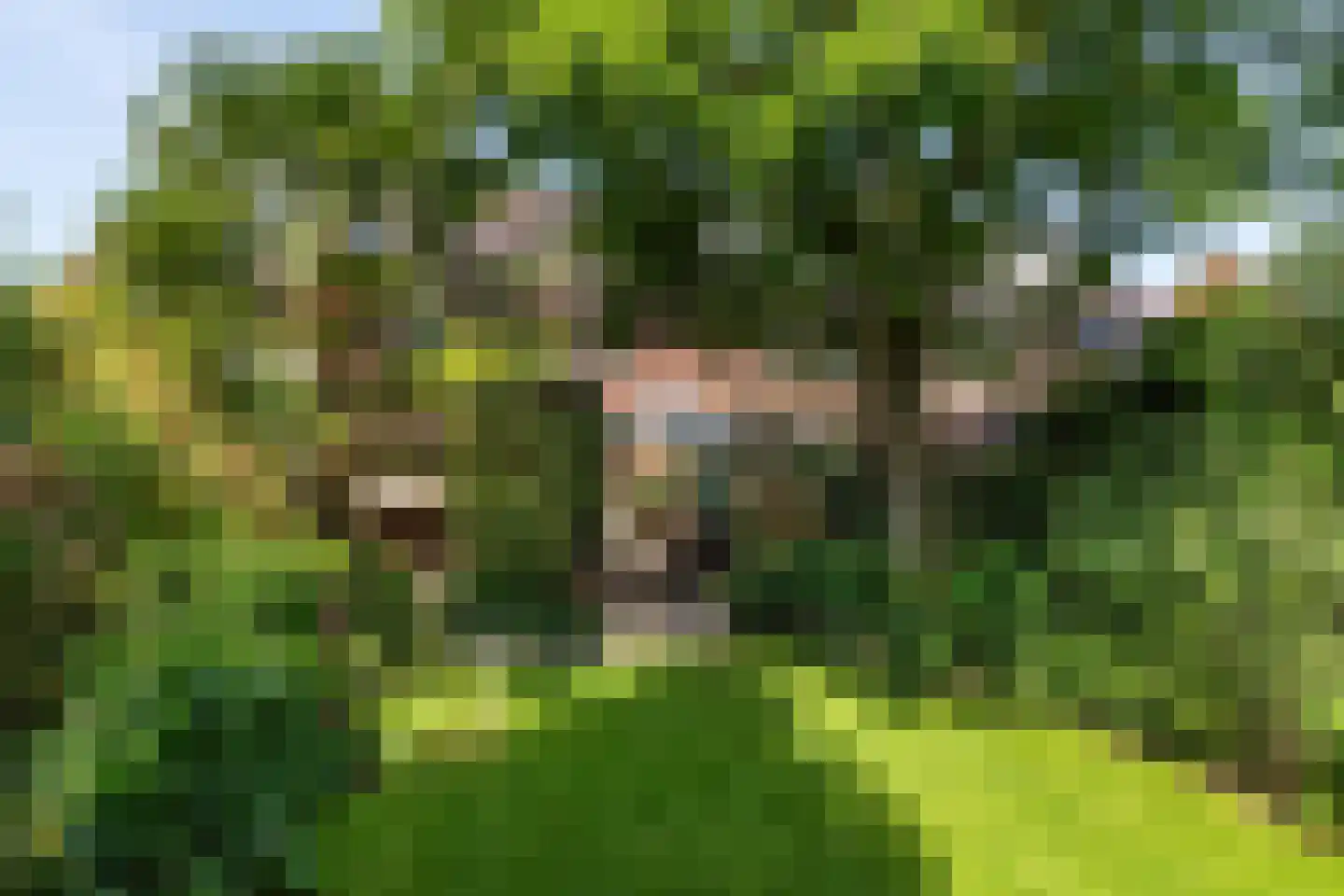 Meerndijk 38 De Meern thumbnail 17