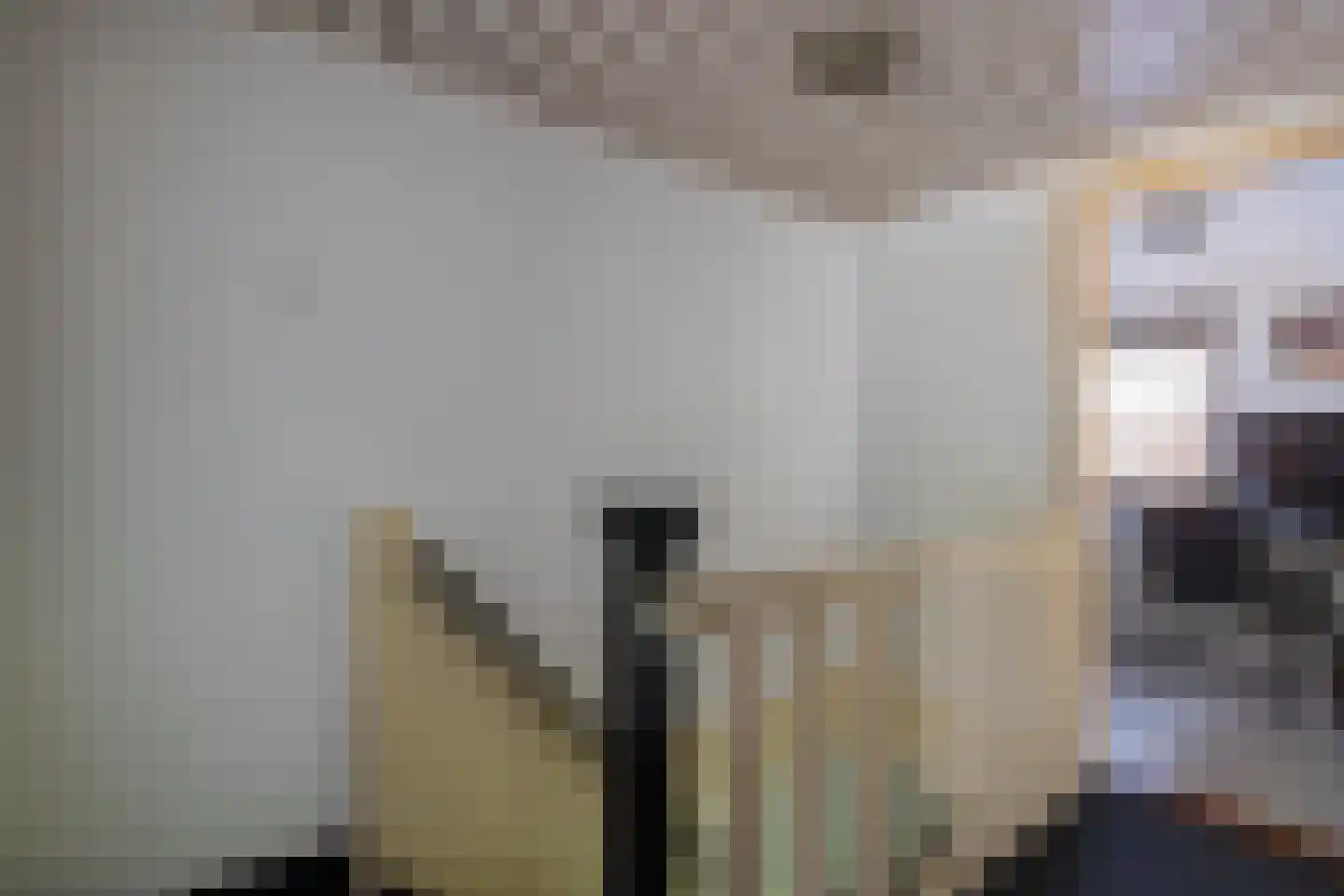 Meerndijk 38 De Meern thumbnail 23