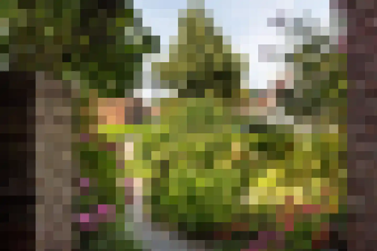 Meerndijk 38 De Meern thumbnail 33