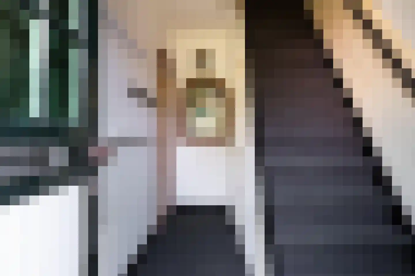 Meerndijk 38 De Meern thumbnail 4