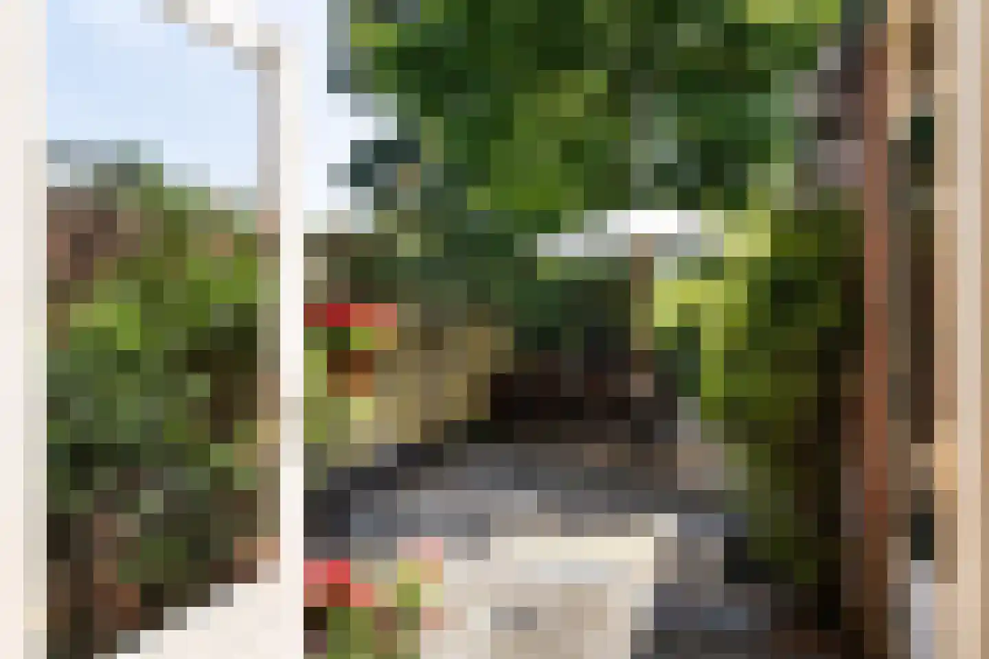 Meerndijk 38 De Meern thumbnail 9