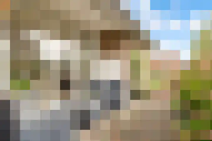 Meerndijk 43 De Meern thumbnail 31
