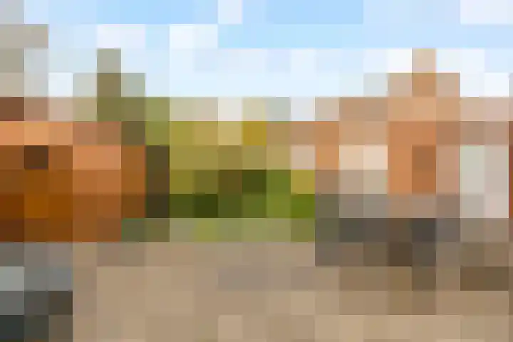 Meerndijk 43 De Meern thumbnail 32
