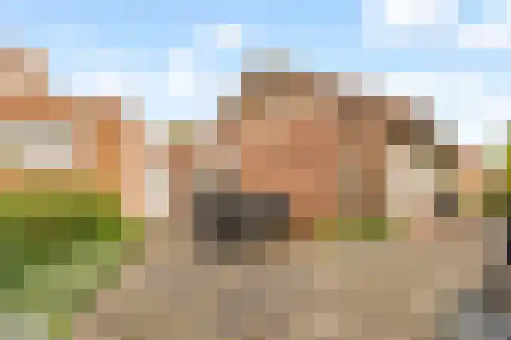 Meerndijk 43 De Meern thumbnail 34