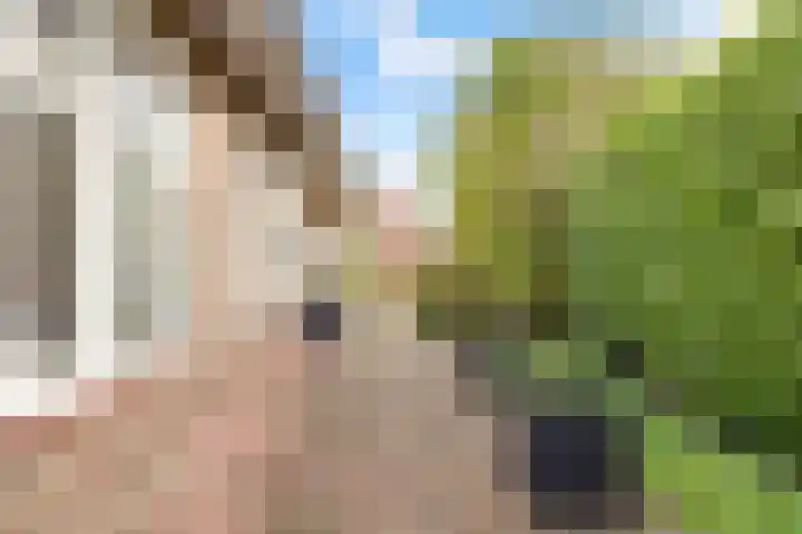 Meerndijk 43 De Meern thumbnail 35