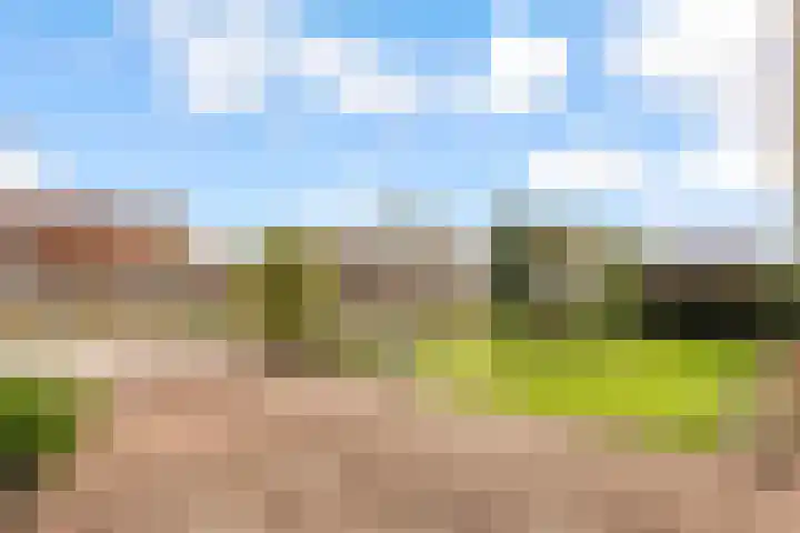 Meerndijk 43 De Meern thumbnail 36