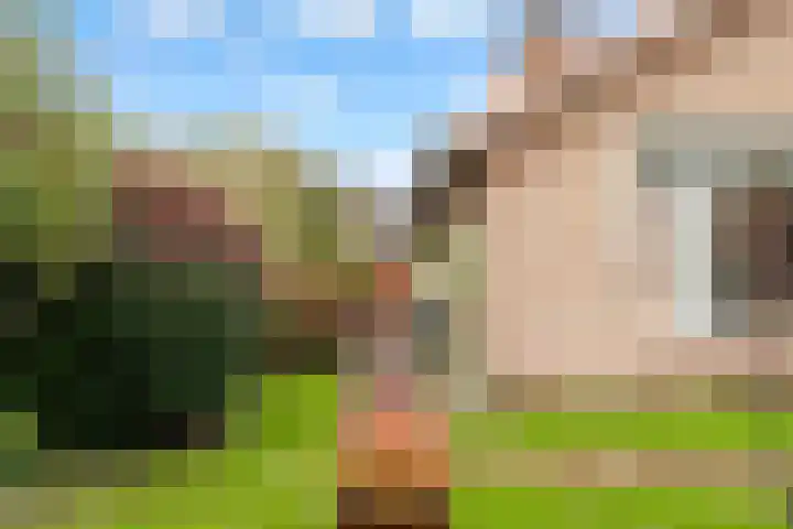 Meerndijk 43 De Meern thumbnail 39