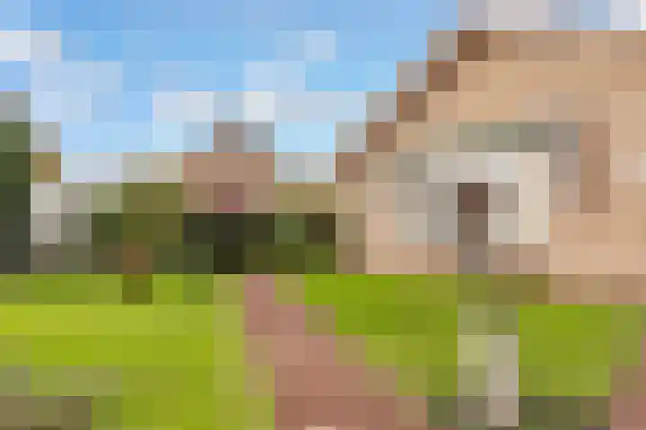 Meerndijk 43 De Meern thumbnail 41