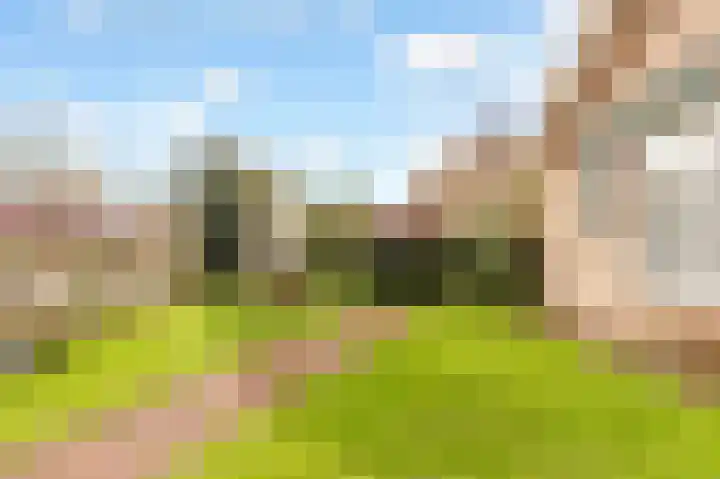 Meerndijk 43 De Meern thumbnail 42