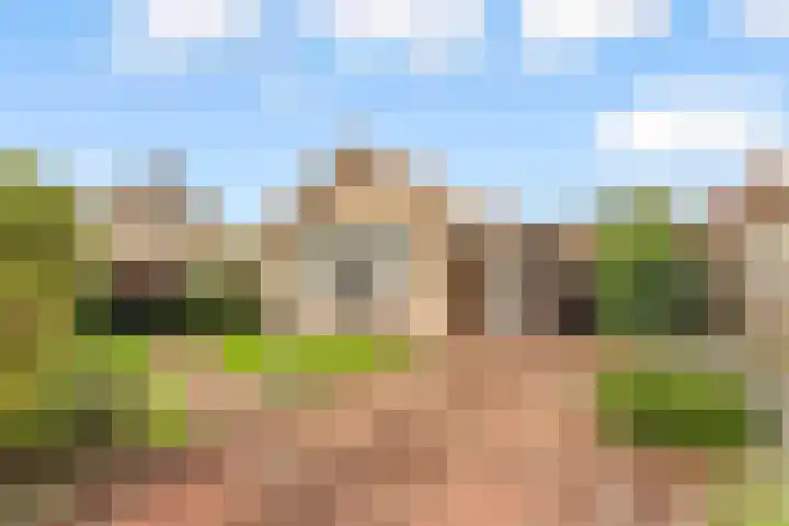 Meerndijk 43 De Meern thumbnail 44