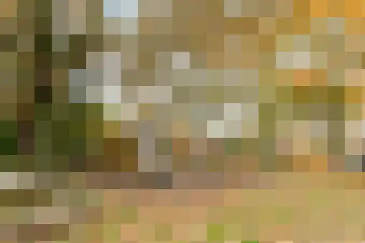 Meerndijk 43 De Meern thumbnail 46