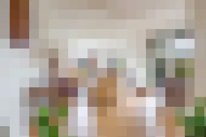 Meerndijk 43 De Meern thumbnail 5