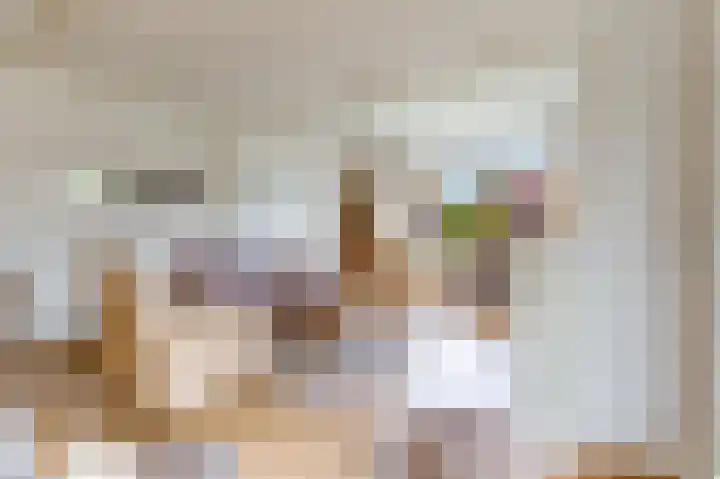 Meerndijk 43 De Meern thumbnail 6