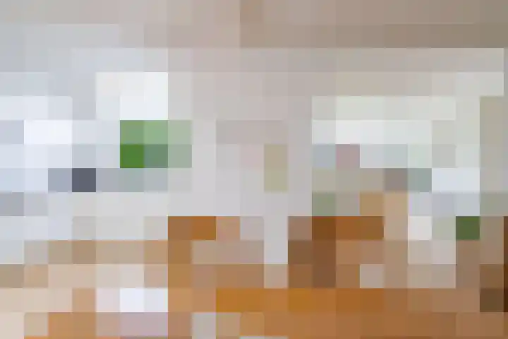 Meerndijk 43 De Meern thumbnail 8