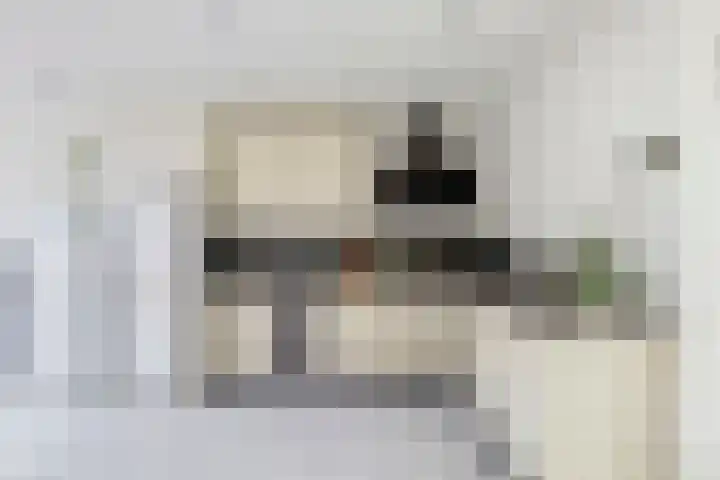 Meerndijk 47 De Meern thumbnail 10