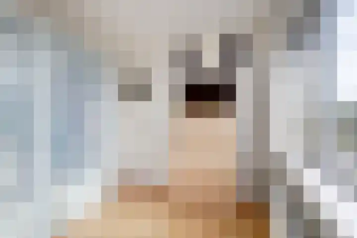 Meerndijk 47 De Meern thumbnail 16