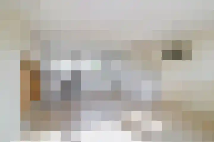 Meerndijk 47 De Meern thumbnail 18