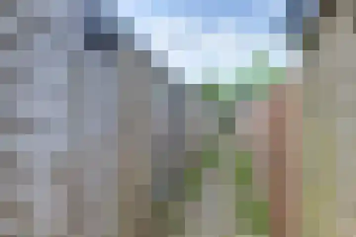 Meerndijk 47 De Meern thumbnail 20