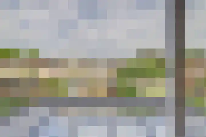 Meerndijk 47 De Meern thumbnail 21