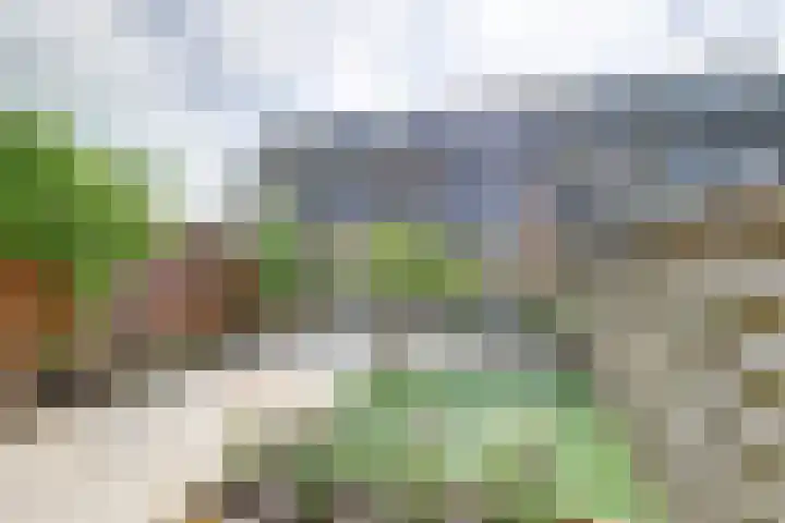 Meerndijk 47 De Meern thumbnail 25