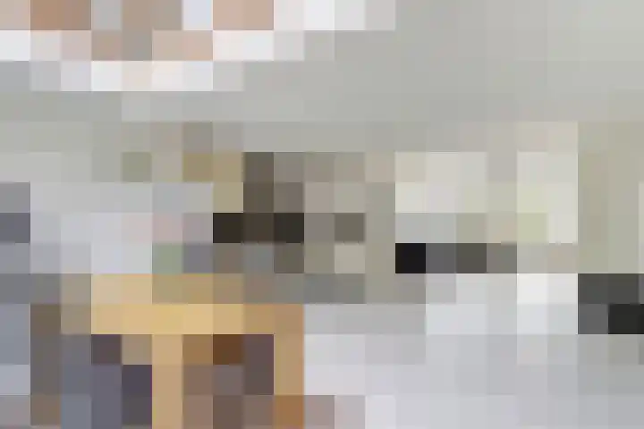 Meerndijk 47 De Meern thumbnail 6