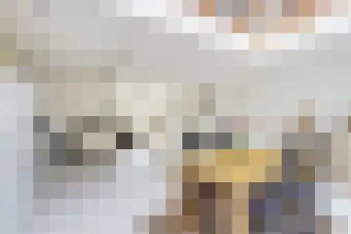 Meerndijk 47 De Meern thumbnail 8