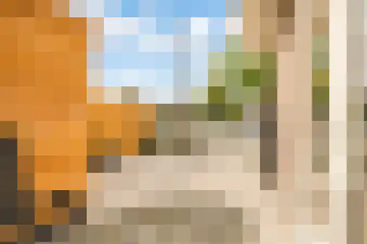 Meerndijk 58 De Meern thumbnail 12