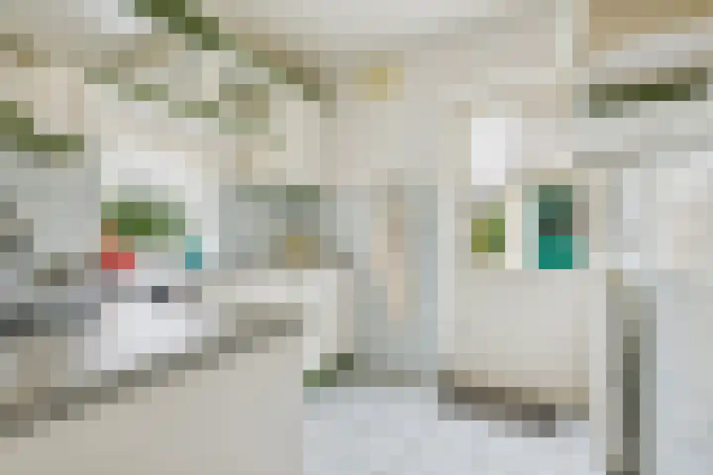 Meerndijk 78 De Meern thumbnail 8