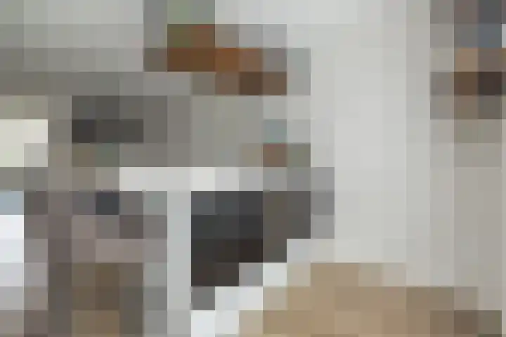 Meeroever 18 Hillegom thumbnail 11