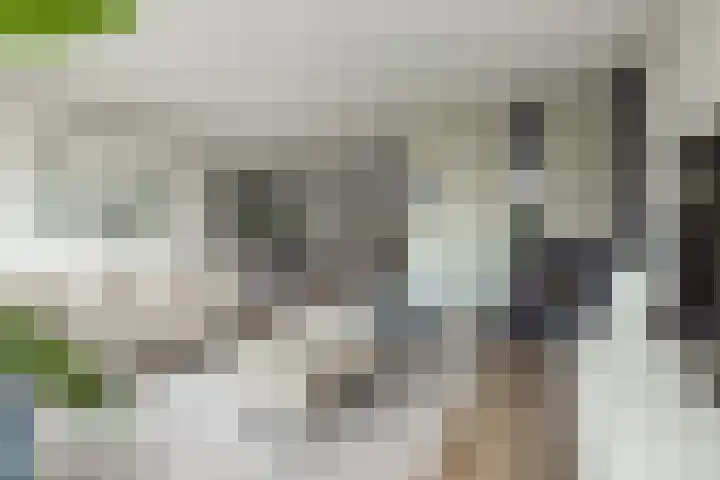 Meeroever 18 Hillegom thumbnail 19