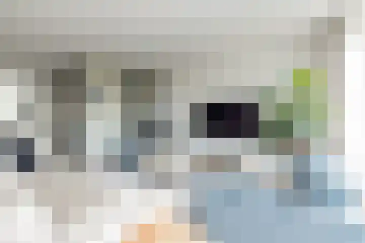 Meeroever 18 Hillegom thumbnail 21