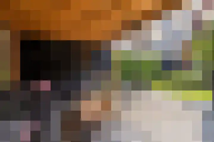 Meeroever 18 Hillegom thumbnail 36