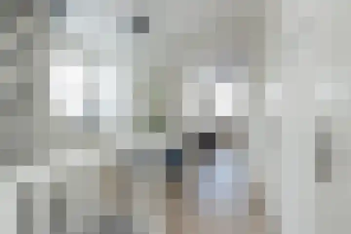 Meeroever 18 Hillegom thumbnail 47