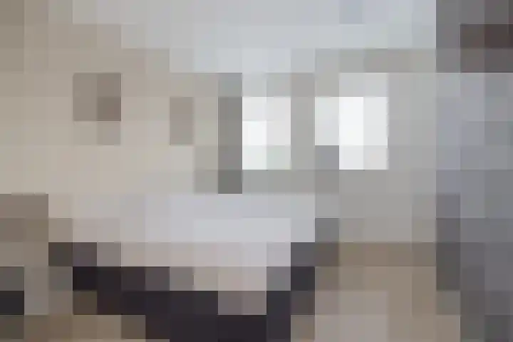 Meeroever 18 Hillegom thumbnail 49