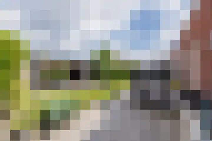 Meeroever 18 Hillegom thumbnail 5