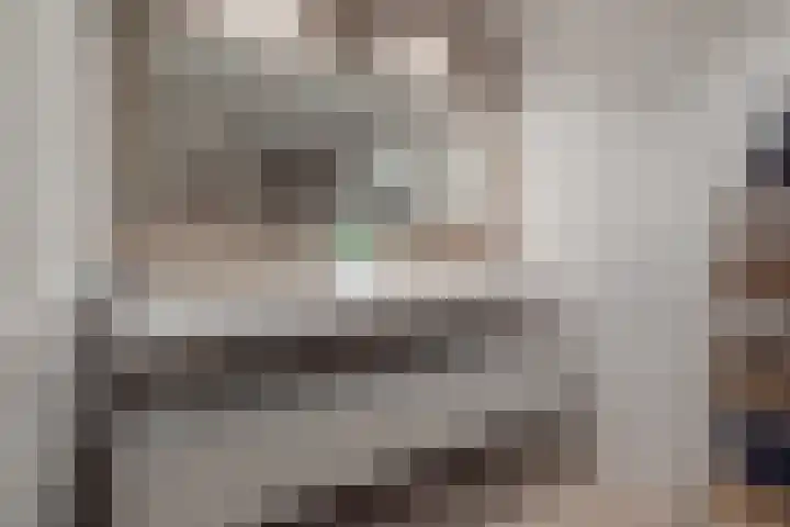 Meeroever 18 Hillegom thumbnail 54