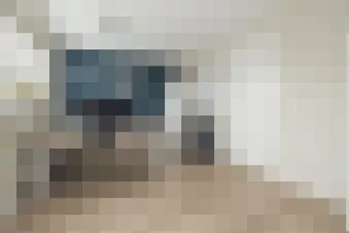 Meeroever 18 Hillegom thumbnail 61