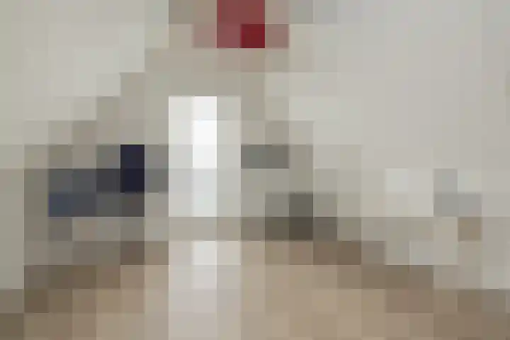 Meeroever 18 Hillegom thumbnail 65