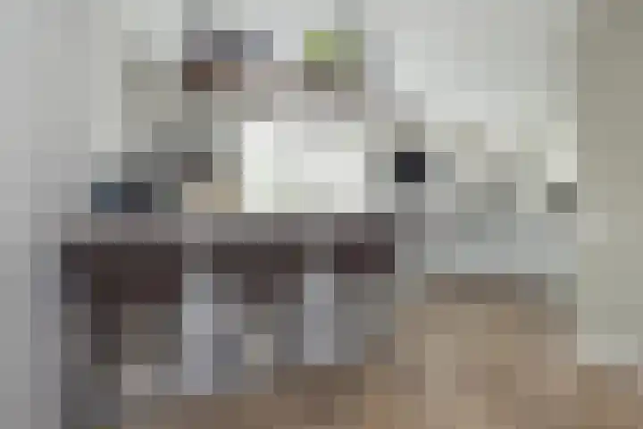 Meeroever 18 Hillegom thumbnail 7